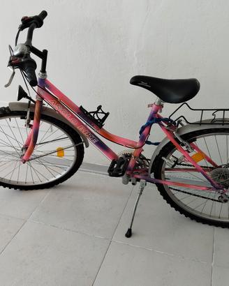 Mountain bike 
