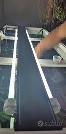 Plafoniera Juwel High-Lite T5 Completa di neon
