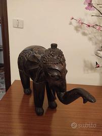 Elefante