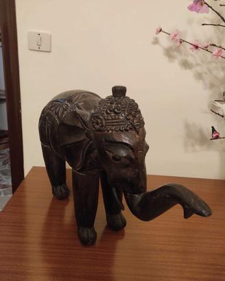 Elefante
