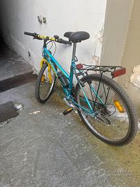 Bicicletta unisex