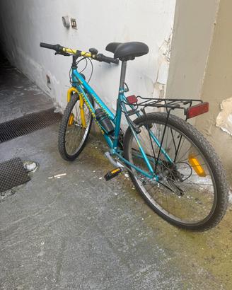 Bicicletta unisex