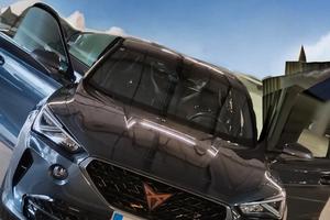 Cupra Formentor 2.0 Tsi Dsg 4Drive