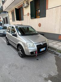 panda 169 1.2 60cv allestimento 100hp