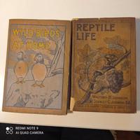 Gowans's Nature books