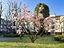 Immagine 28