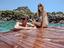Immagine 16