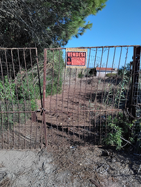 Terreno Agricolo con Fabbricato