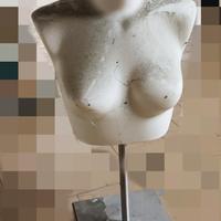 Busto manichino donna