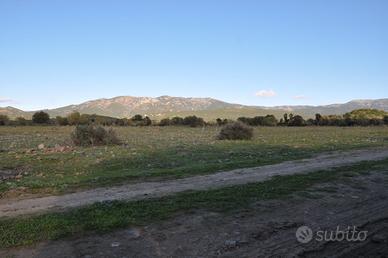 Terreno agricolo 16000 mq