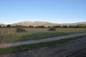 Terreno agricolo 16000 mq
