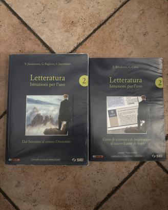 Letteratura istruzioni per l’uso 2