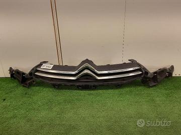 GRIGLIA PARAURTI CITROEN C4 2Â° Serie C04913-091IS