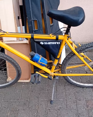 Mountain bike 