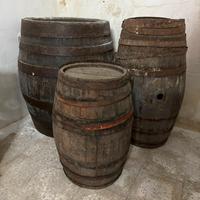 Antiche botti in legno