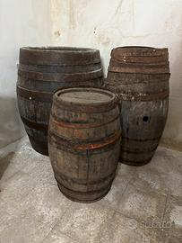 Antiche botti in legno