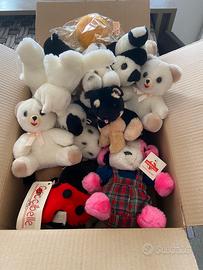 Scatola 25 peluche