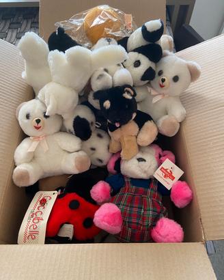 Scatola 25 peluche