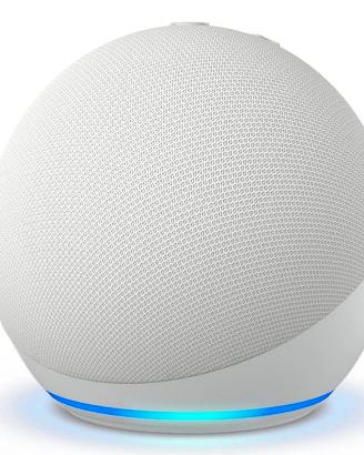 google home