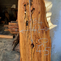 Asse di ulivo Salentino denominata (2)