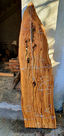 Asse di ulivo Salentino denominata (2)