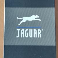portachiavi Jaguar 