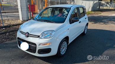 Fiat Panda 1.2 Lounge 51Kw - 69Cv  "59 Mila Km"