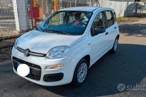 Fiat Panda 1.2 Lounge 51Kw - 69Cv  "59 Mila Km"