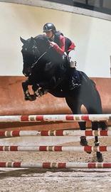 Cavallo salto