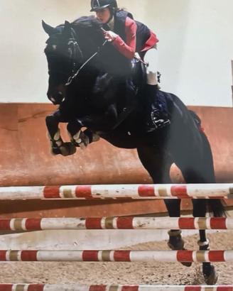 Cavallo salto