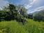 Immagine 11