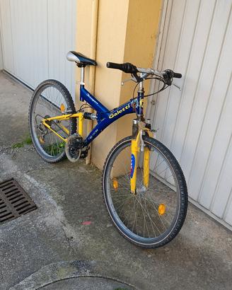 Mountain bike bi-ammortizzata