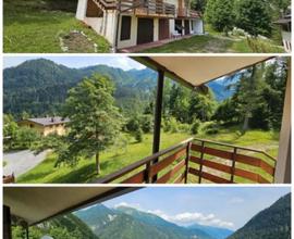 Appartamento Forni Avoltri località Ciolos Sappada