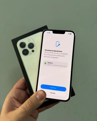 IPhone 13 Pro 1Tb Batteria 100% e Garanzia