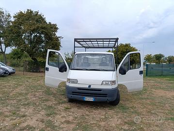 FIAT Ducato (2ª serie) - 2000