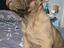 Immagine 5