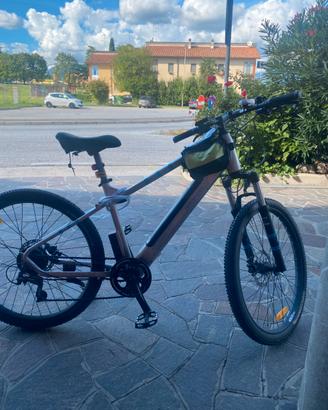 Bicicletta Performance, a pedalata assistita !