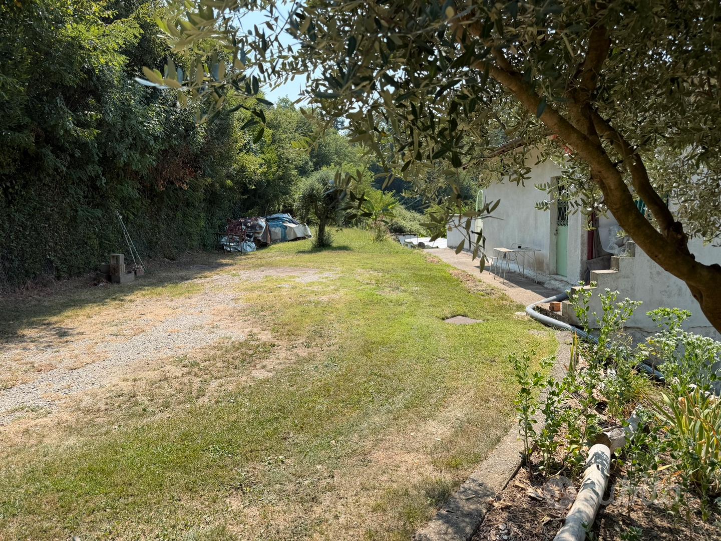 Splendido rustico immerso nel verde - Altro