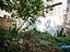 Immagine 13