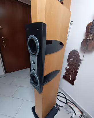 Dynaudio Confidence C2