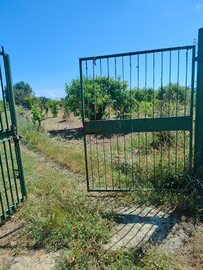 Terreno Giardino in Ctd. Palma di Avola Siracusa