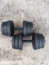 Manubri professionali da 25KG