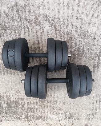 Manubri professionali da 25KG