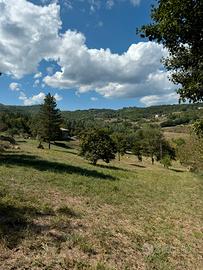 Terreno edificabile Poppi