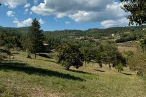 Terreno edificabile Poppi