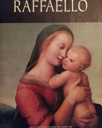 Libro Raffaello La pittura, i disegni