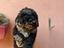 Immagine 15