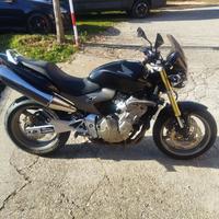 Honda Hornet pronta a viaggiare