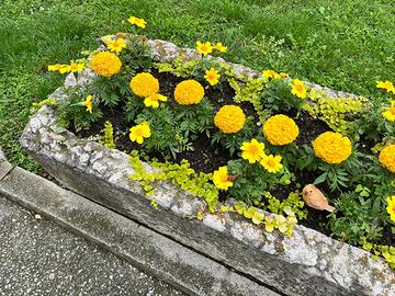 Abbeveratoio in pietra