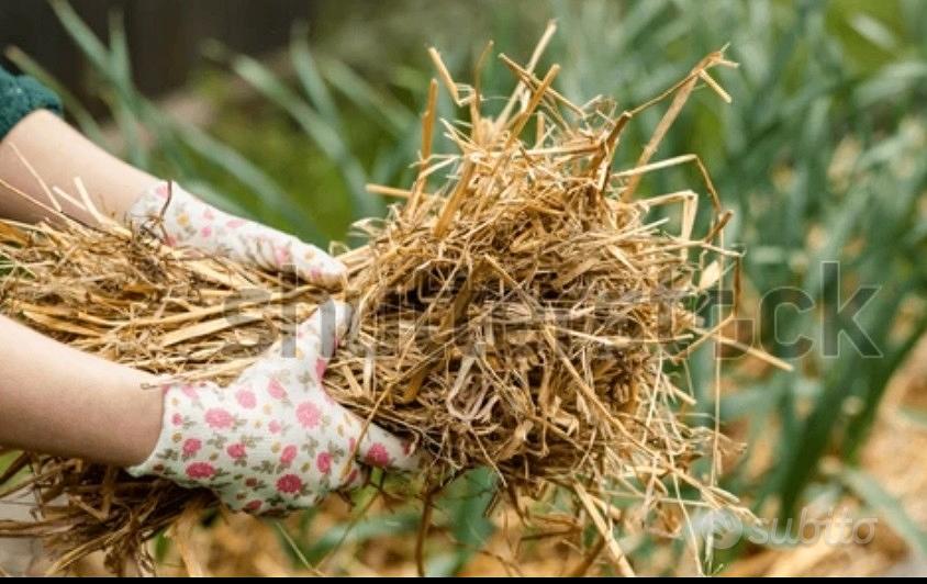strame e stallatico - Giardino e Fai da te In vendita a Padova